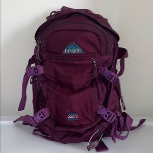 Dakine Pro 2 Ski & Snowboarding Backpack